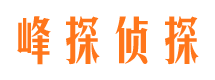 高县调查公司